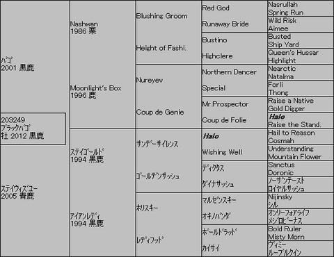 ブラックバゴ5代血統表