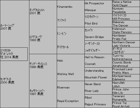 ダンビュライト5代血統表
