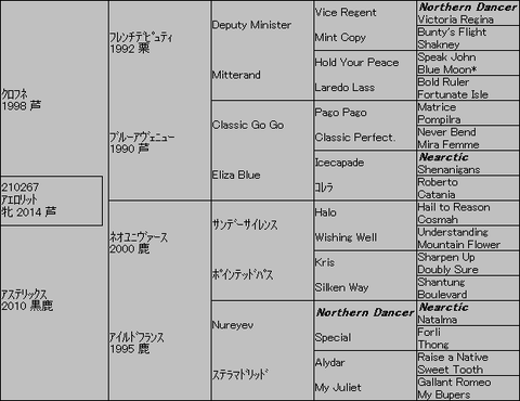 アエロリット5代血統表