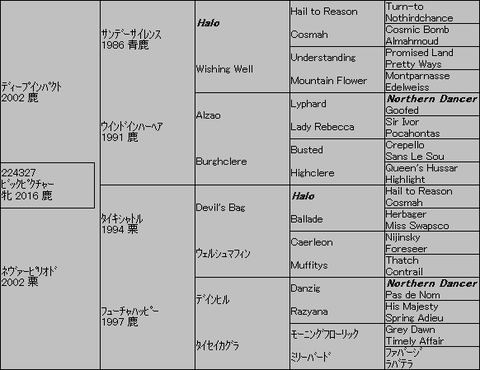 ビックピクチャー5代血統表