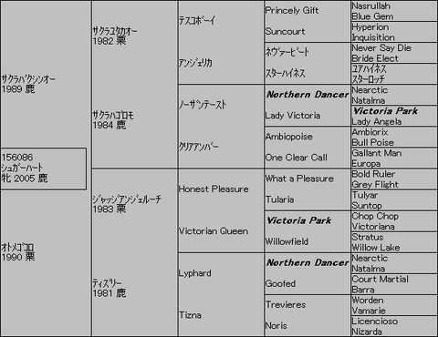 シュガーハート5代血統表