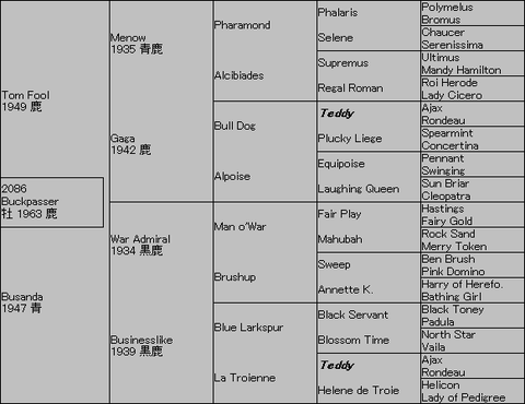 Buckpasser5代血統表