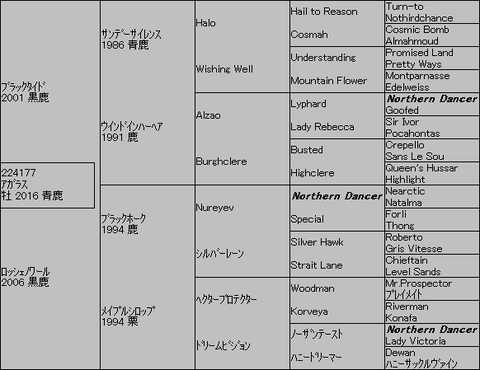 アガラス5代血統表
