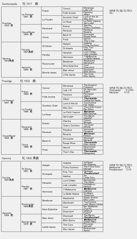 Sardanapale 6代血統表