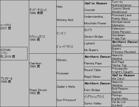 ノーワン5代血統表