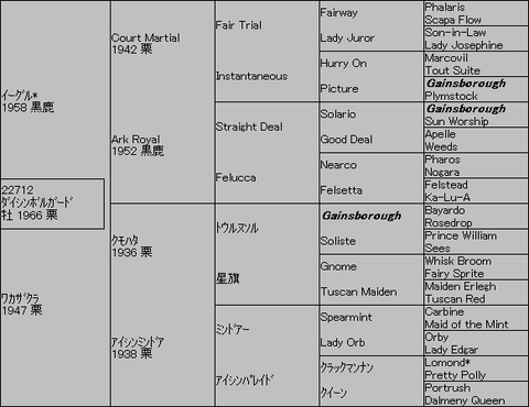 ダイシンボルガード5代血統表