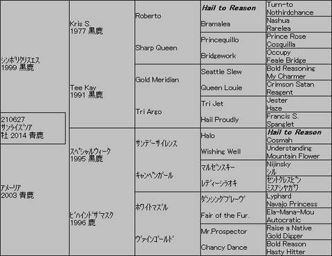 サンライズソア5代血統表
