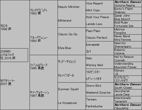 エメラルファイト5代血統表