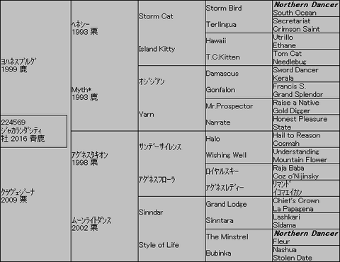 ジャカランダシティ5代血統表