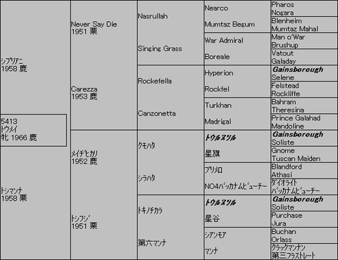 トウメイ5代血統表