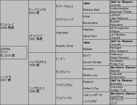ナイママ5代血統表