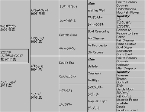 ニシノミチシルベ20175代血統表