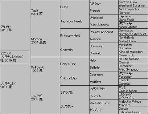 ニシノミチシルベ20195代血統表