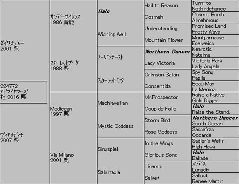 アドマイヤマーズ5代血統表