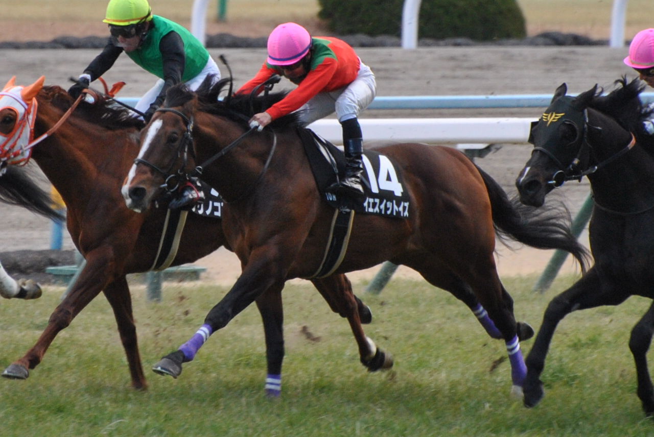 馬なり男爵の馬バカ日誌
タグ:西村真幸厩舎
マッカートニー、アタマ差に泣く/桂川S4着のワンアフターは休養ワンアフター、進路開かず/失速したヒッチコックはソエを発症あと一歩!マッカートニー、順番待ち