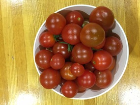 IMG_0102.1