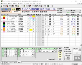 パラダイスS結果