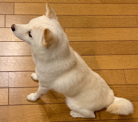 B91538A8-3B97-45CC-B140-06B5A7F372BE