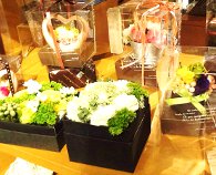 花カフェ シルバーレイン&マーガレットさん