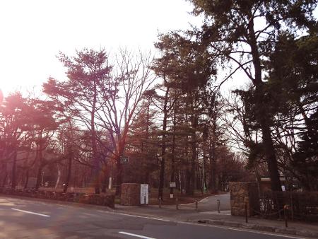 2015春円山公園付近001