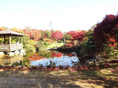 平岡樹芸センター日本庭園