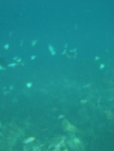 0709011252