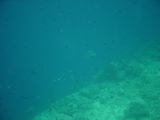 0709011216