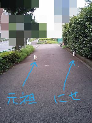 BlogPaint