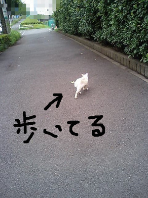 BlogPaint