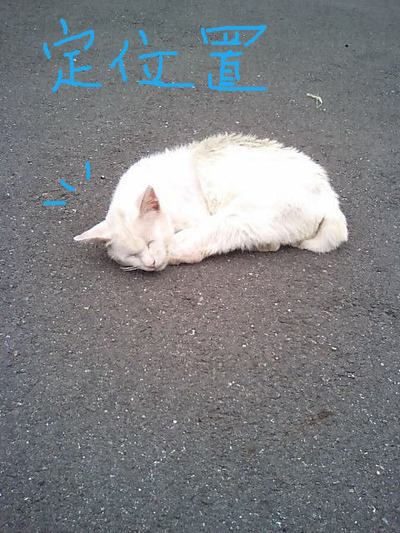 BlogPaint