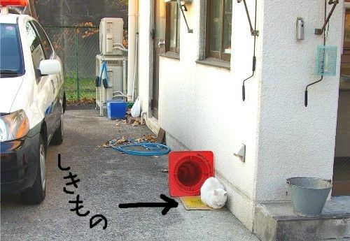 BlogPaint