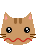 ic_face_neko02_16