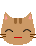 ic_face_neko02_04