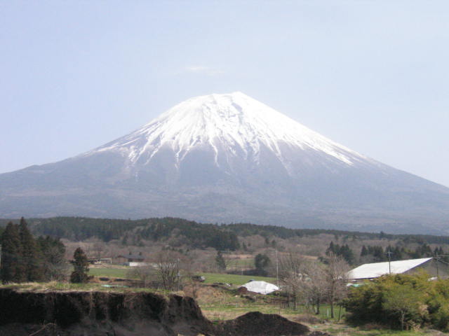 �դ�