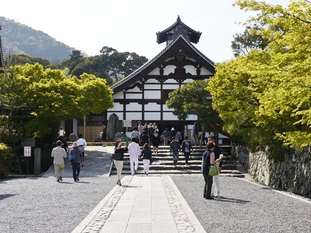 1530066