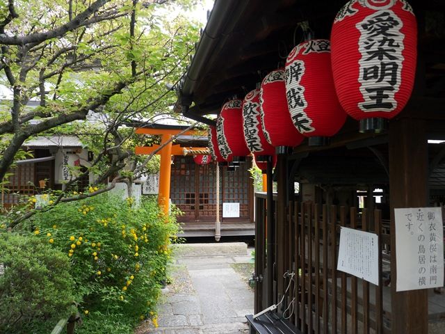 P1960110