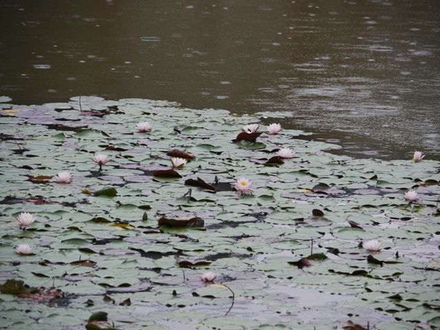 1550175