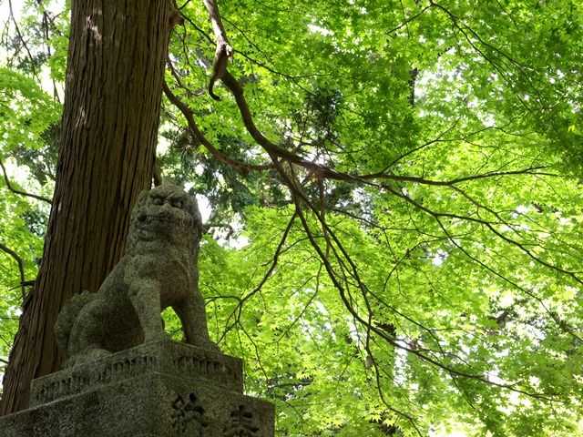 1970406