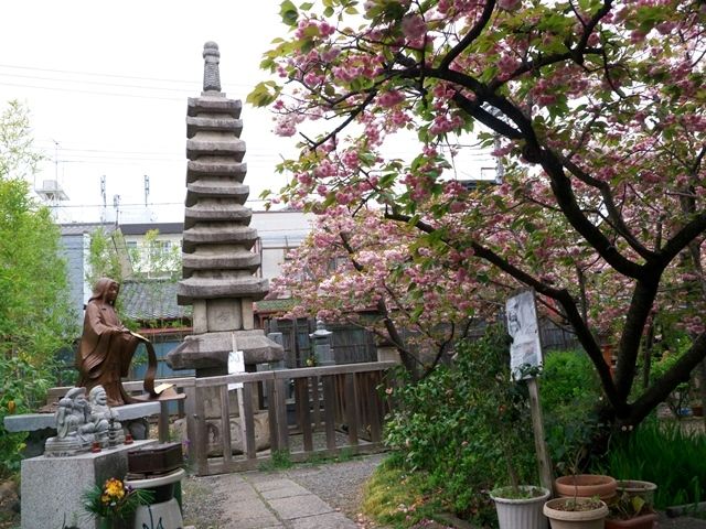 P1960007