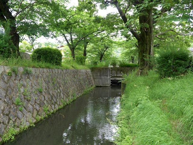 1970507