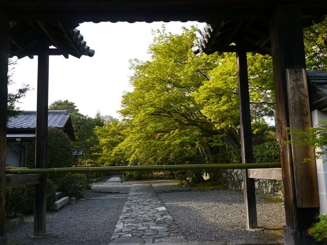 1530408
