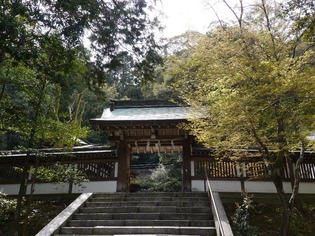 1410886