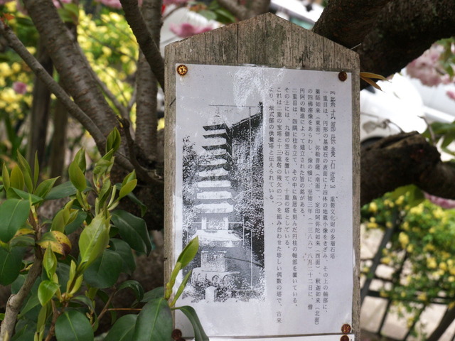 P1960008