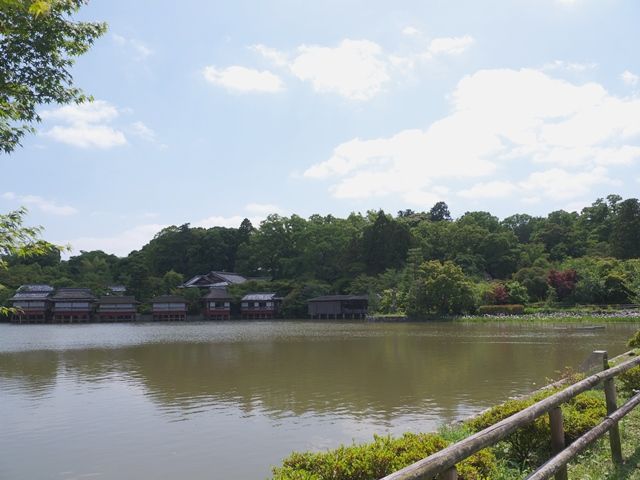 1980524