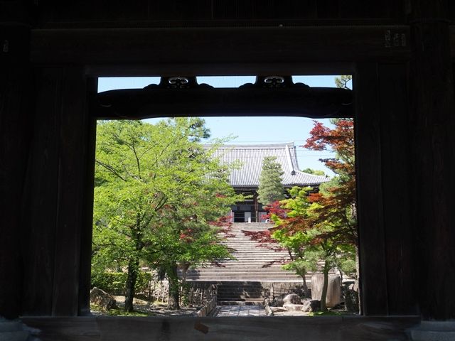 1980077