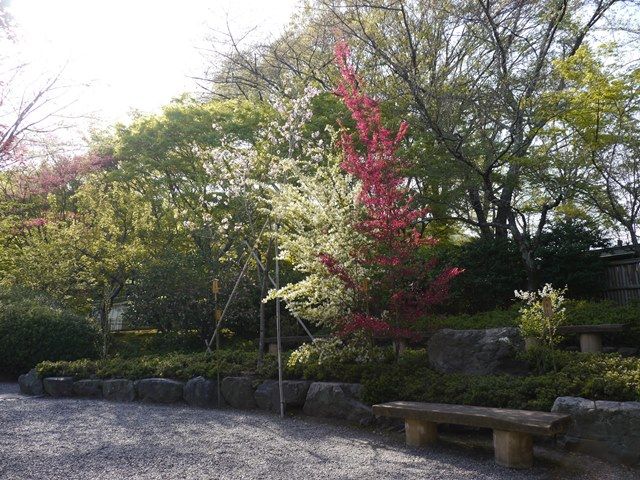 1530216