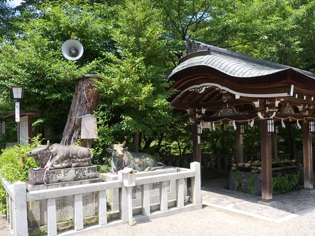 1980502