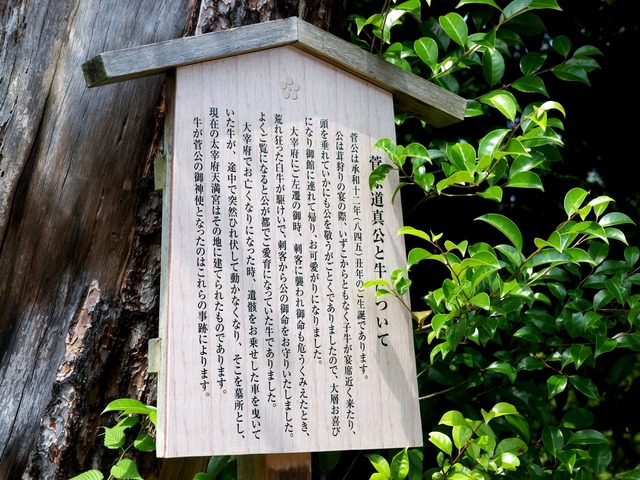1980503