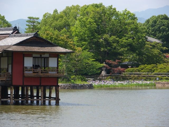 1980514