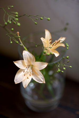 flowergrass